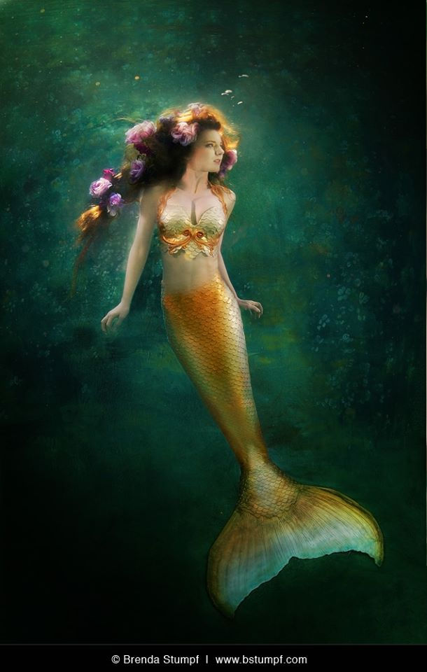 Thumbnail: Mermaid bra top rental by Merbella Studios, gold chestnut and scales - costume rental in Los Angeles