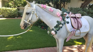 White unicorn pony for party wearing pink in Los Angeles, California