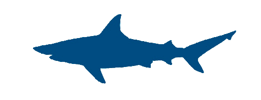Blacktrip-SharkStudy.gif