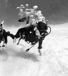 GOPR2960_edited (1).jpg