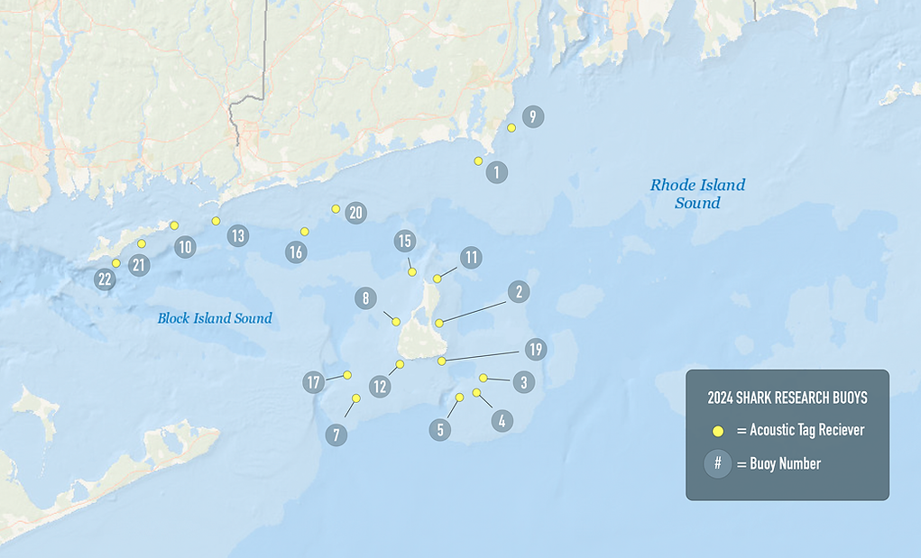 ASI BUOY Graphic--4.30.2024.png