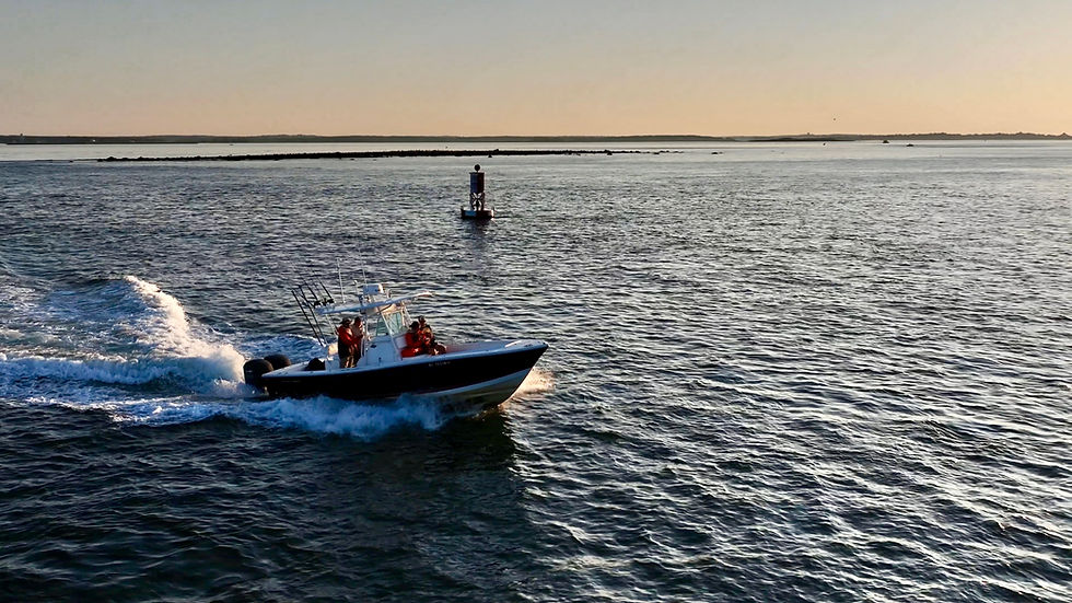 The ASI team heads out for a day of shark tagging offshore.