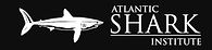Atlantic-Shark-530w_edited.jpg