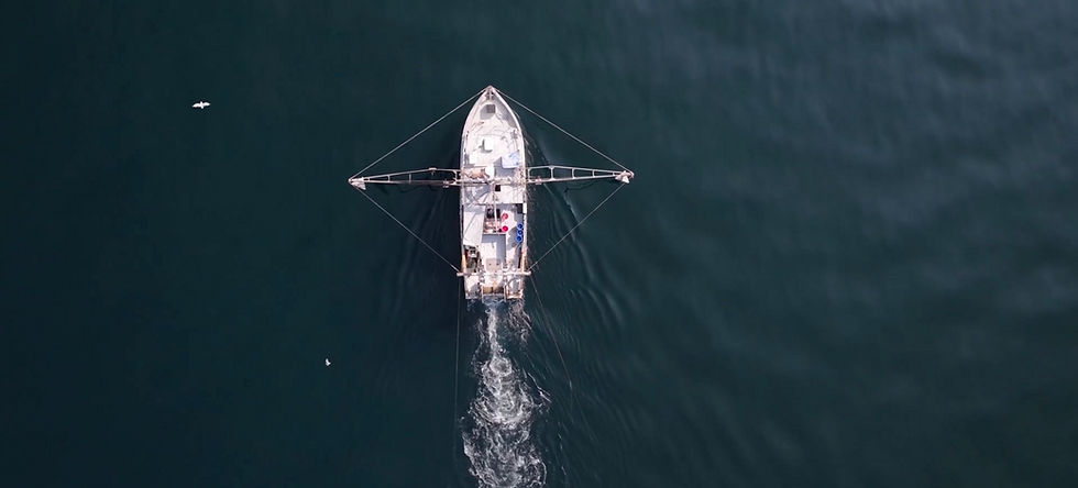 Commercial fishermen who affiliate themselves with the ASI are crucial to collecting important data related to research studies.