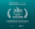 Ocean State_Chasing Fins EMMY Poster FINAL_0001.jpg