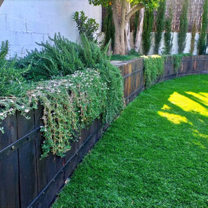 Jardinera feta amb travesses de tren verticals amb plantes rastreres, romaní i xipresos.