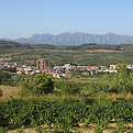 Serveis de jardineria a Sant Pere de Riudebitlles.JPG