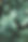Green Leaves