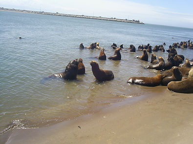 Copia (3) de Copia de S5023257_edited.jp