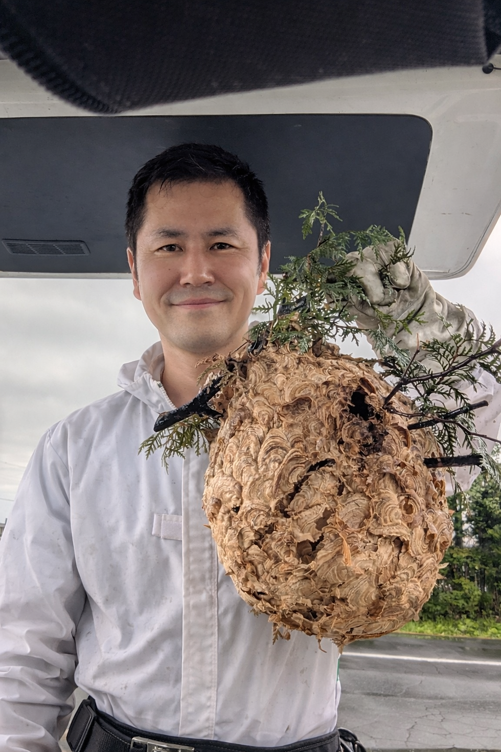 旭川で蜂の巣駆除後の状態|スズメバチの巣を撤去した実例(便利屋みどり)