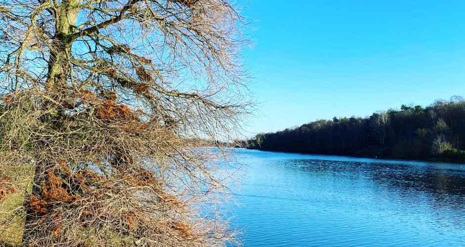 Things to do in Nottinghamshire