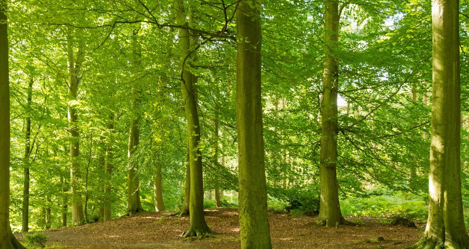 Things to do in Nottinghamshire