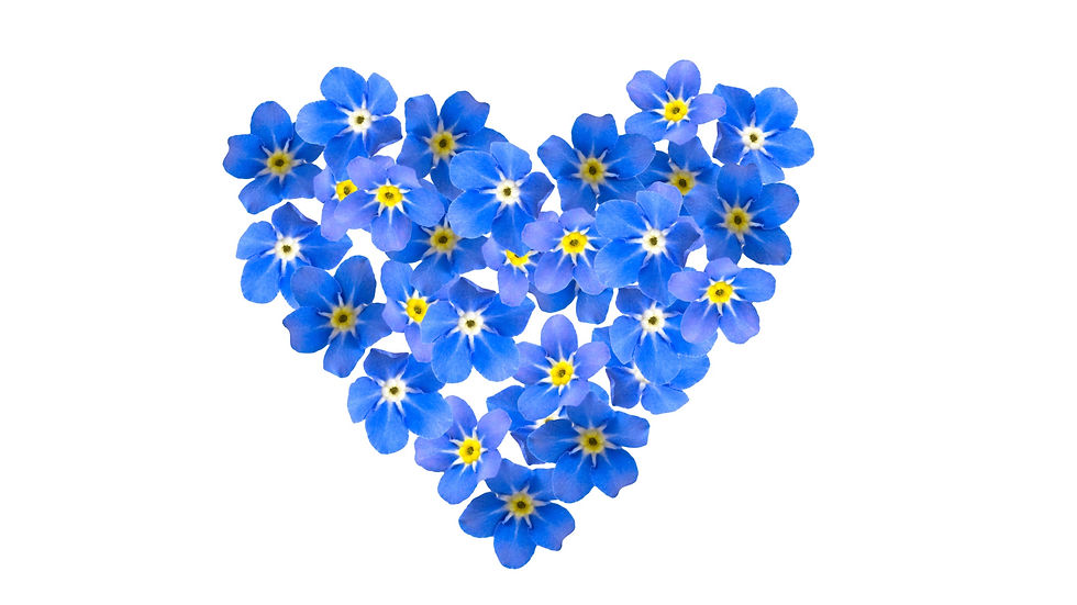 blue forget me nots in a heart shaped
