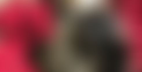 Samantha the cat - The Furry Ts