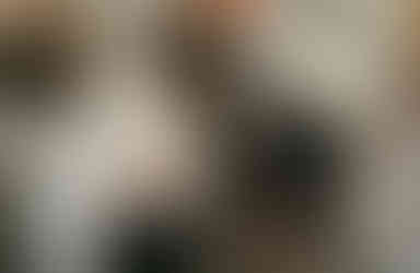 Beagle and English bulldog