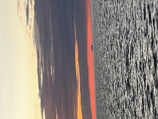 Whitby Costal Cruises