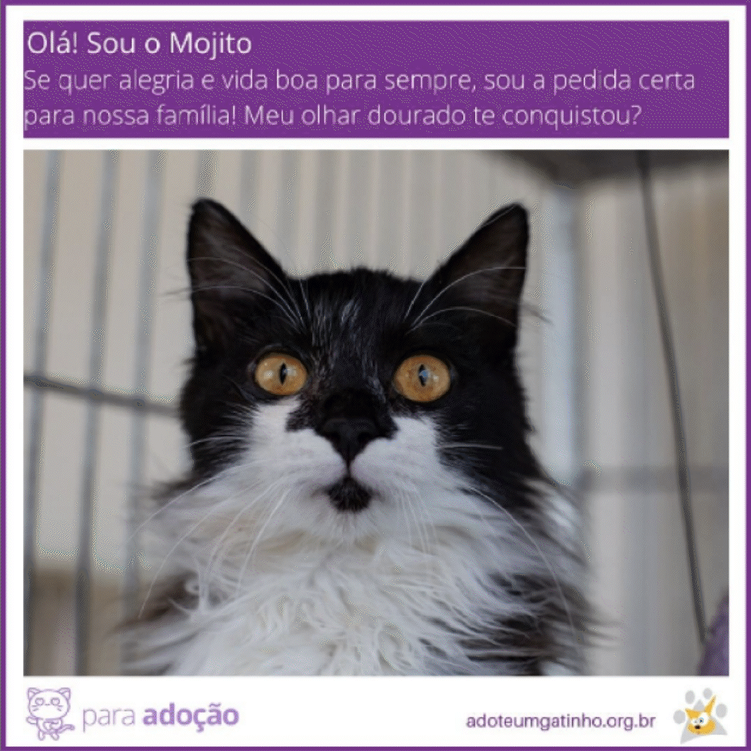 AUG ID IG Before simples_2.gif