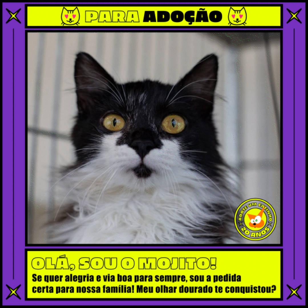 AUG ID IG After simples_1.gif