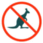 kangaroo_edited.jpg