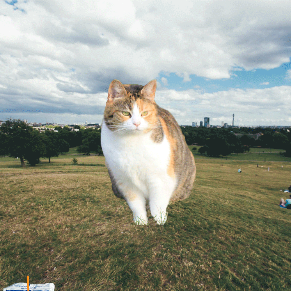 caprisuncat.gif