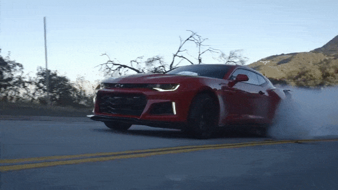 ZL1.gif