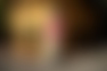 Which Oaxaca is right for me?