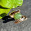 Thumbnail: Riverbend Ring