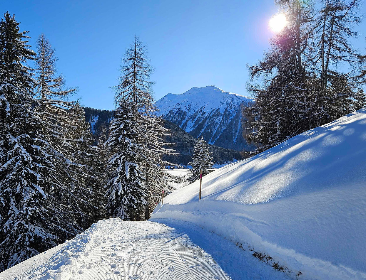 Studio Davos_Winterwanderweg Wolfgang.jpg