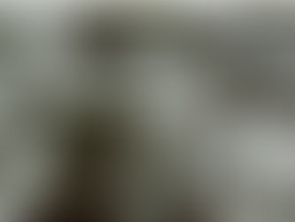 加藤政実のNEWSコラム(2023年2月号)