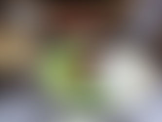 第2チェリーハウス夕食会