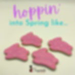 Easter Bunny Cookies