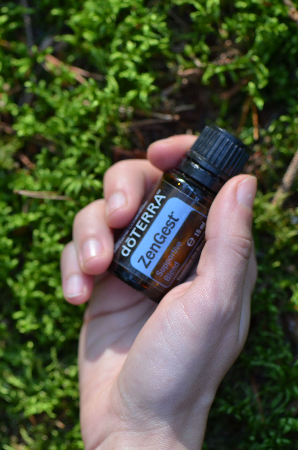 Workshop: Einführung in die Welt der ätherischen Öle