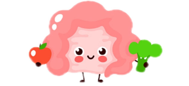 Workshop: Darmgesundheit