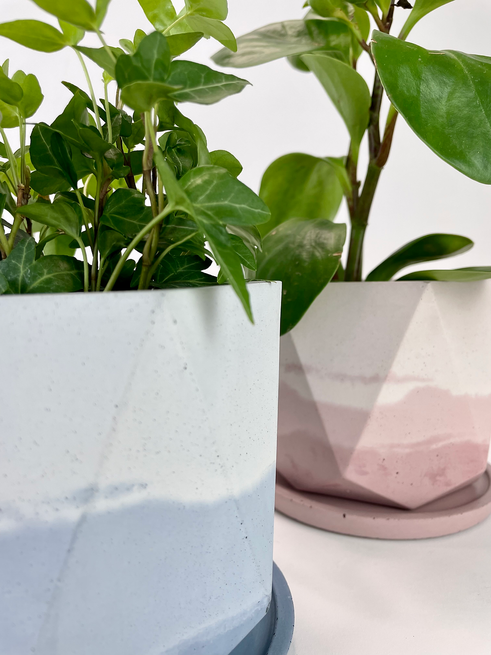 Thumbnail: Planter