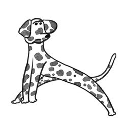 dalmatian