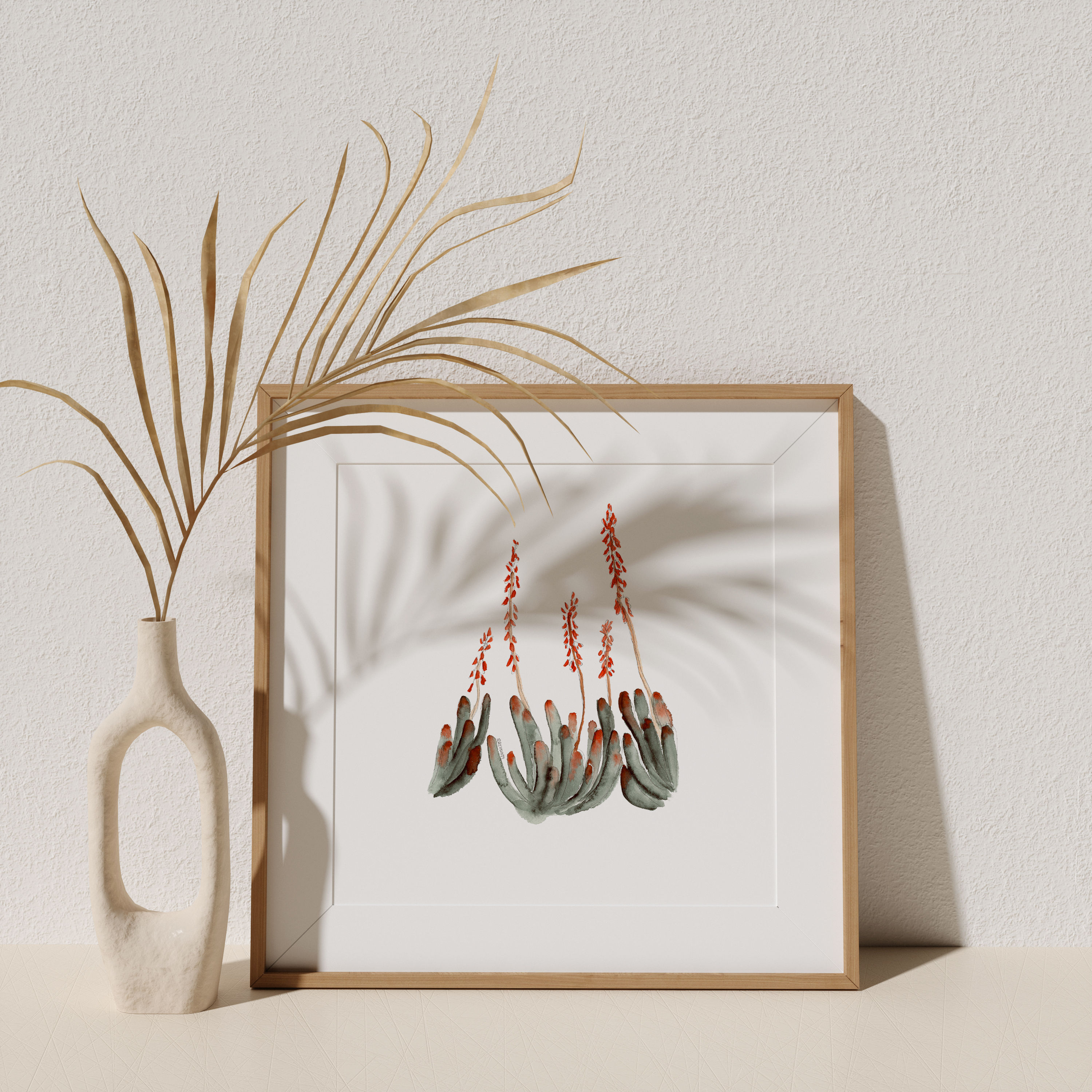 Aloe Plicatilis no. 2