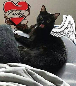 lucky.jpeg