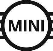 MINI COOPER.jpg