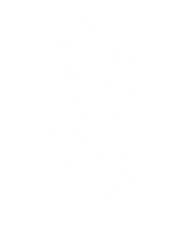 BEL'ARTIST_LOGO (15).png