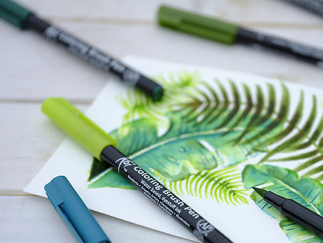 KOI-BRUSH-3.jpg
