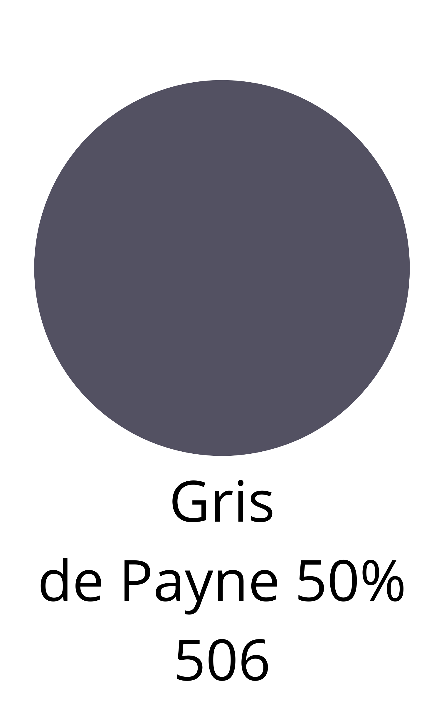 Caran d'Ache - Crayon pastel - Gris de payne 50% 506