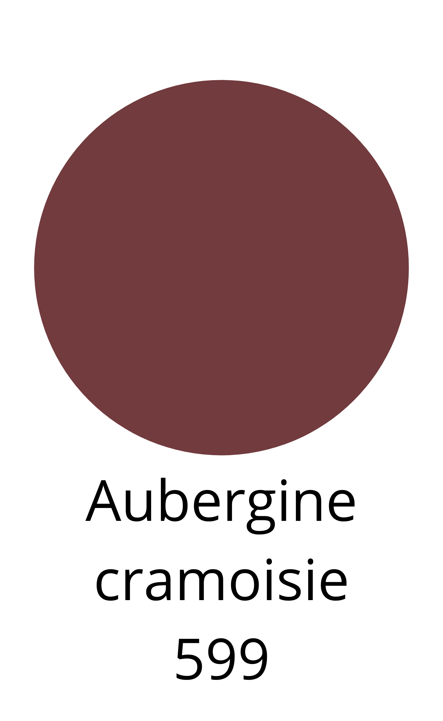 Caran d'Ache - Museum aquarelle - Aubergine cramoisie 599