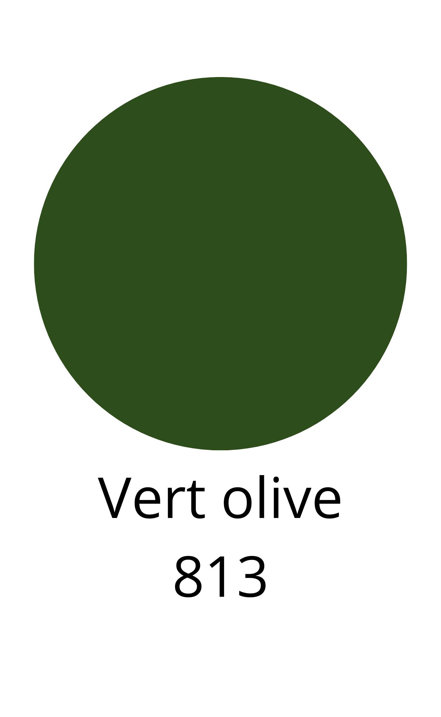 Sennelier - Oil stick - 38ml - série 2 - vert olive - 813