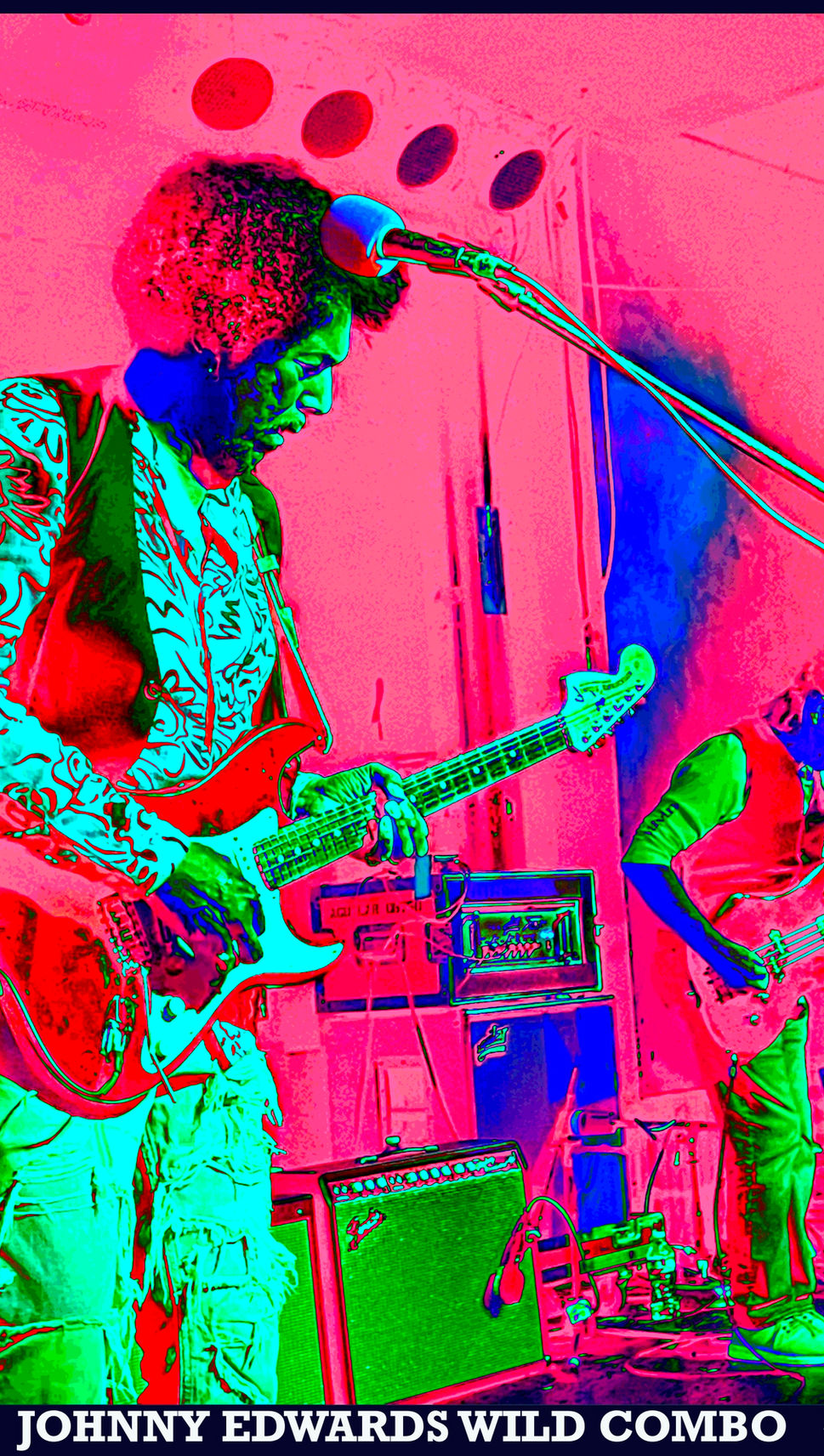 John Edwards Wild Combo 1 solar.jpg