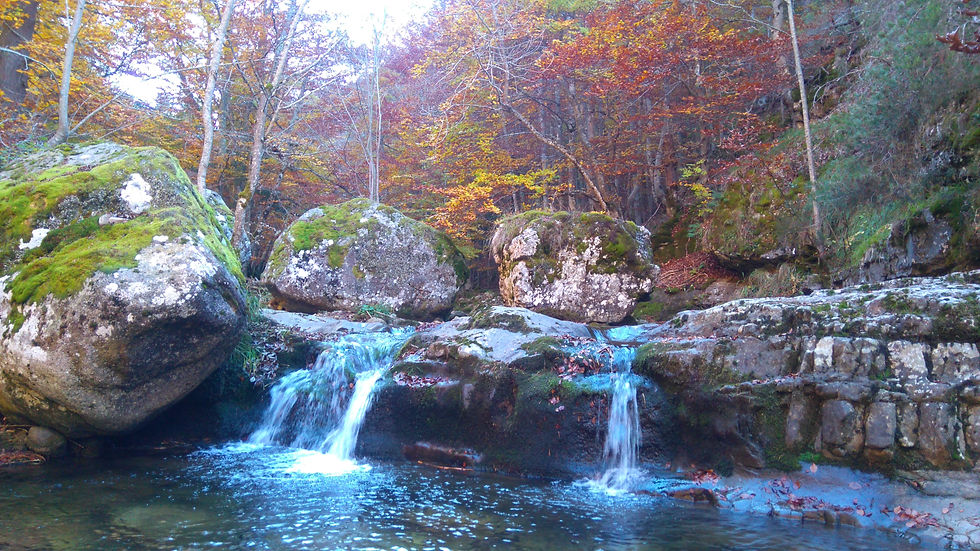 Fuente Ra (Sierra de la Cebollera)