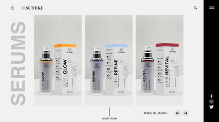SUTEKI HOMEPAGE DESIGN 1.png