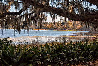Scenic View of Lake Overstreet,  a lake in The Alfred B. Maclay State Gardens is a 1,176-a