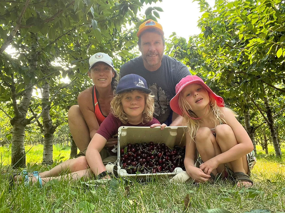 Family showing off their Lapin Cherries picked at Cherry Ridge Orchard Simek Farms