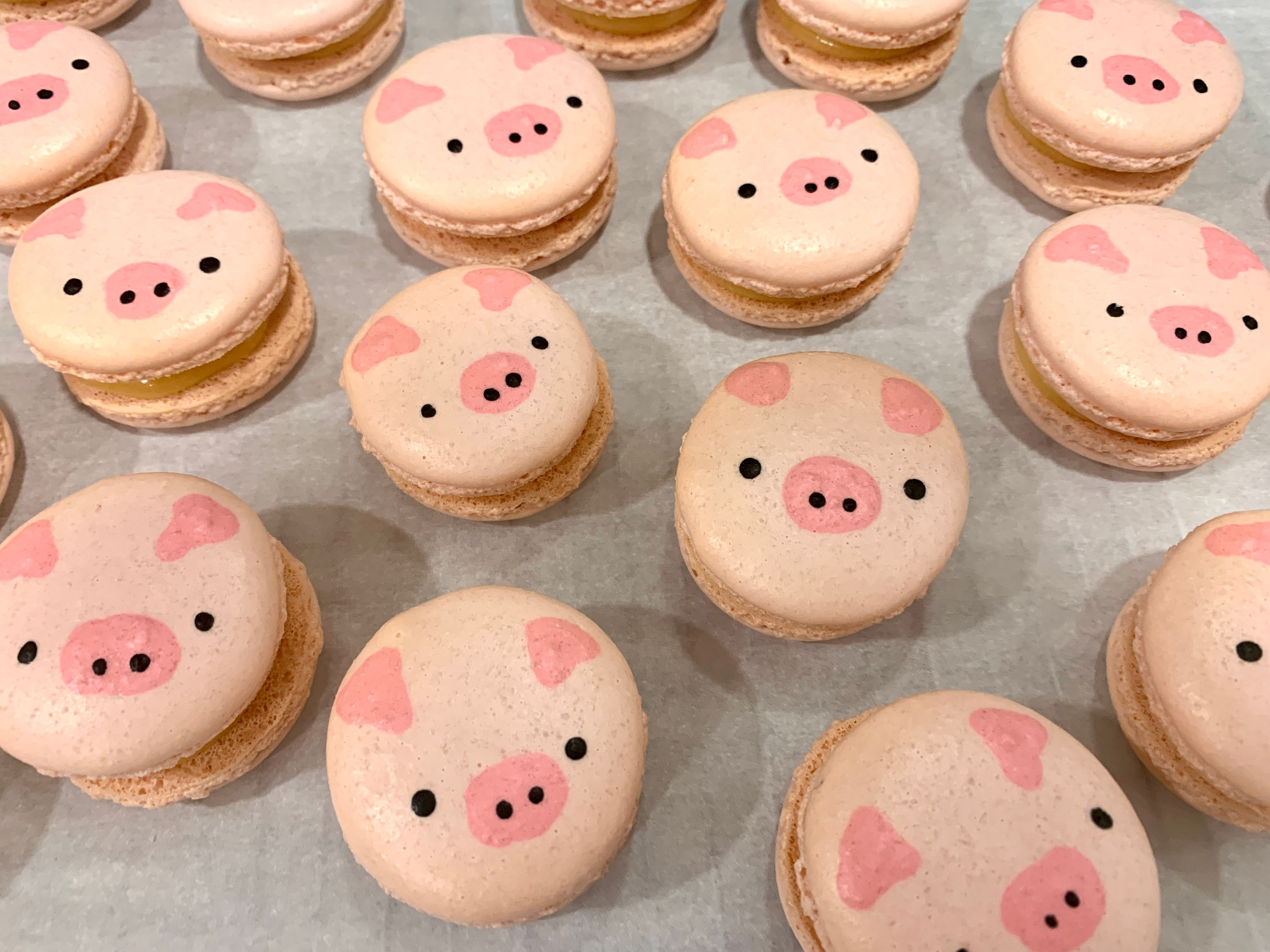 Piggy Macarons