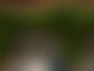 Holmewood Hall Wedding Photography